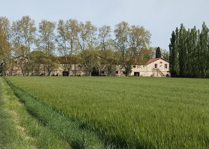 La Cave De Grand Cabane
