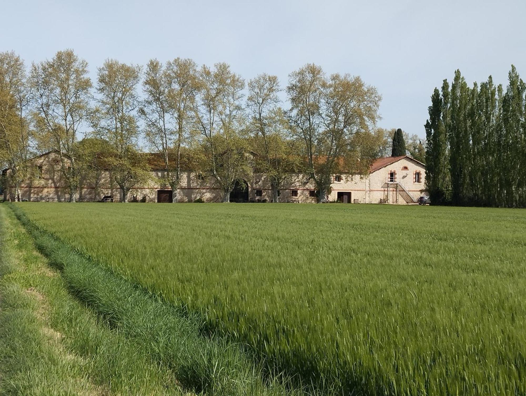 La Cave De Grand *